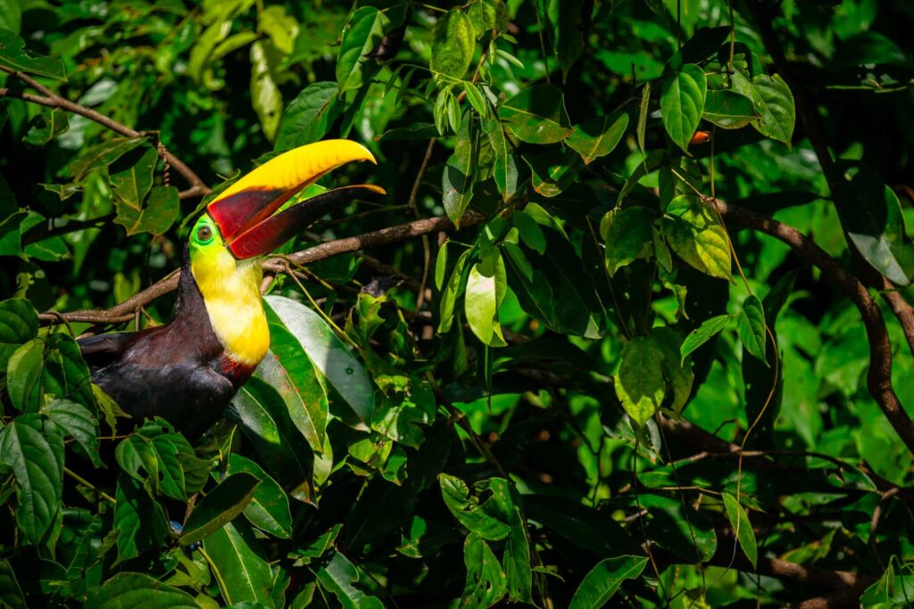 Is Costa Rica Expensive? Actual Costs To Visit In 2024